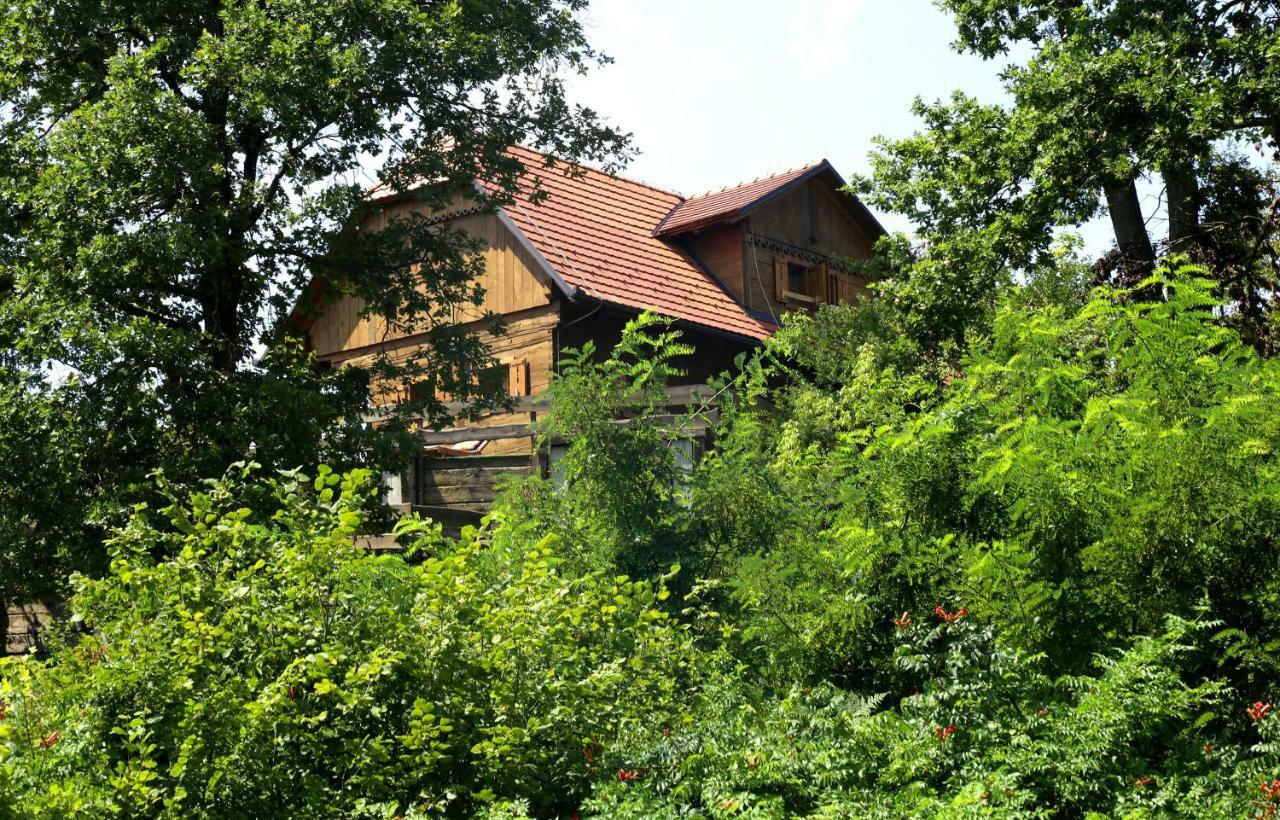 Kuca Suncani Brijeg Pokupsko Dış mekan fotoğraf